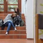 Galleriebild