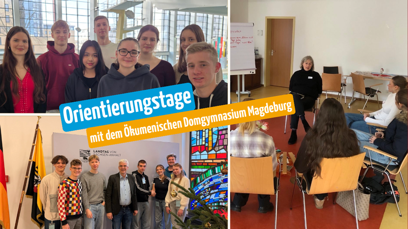 Bildcollage aus 3 Bildern. Jedes Bild zeigt verschiedene Kleingruppen, die am Projekt teilnehmen.