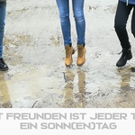 Galleriebild