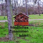 Galleriebild