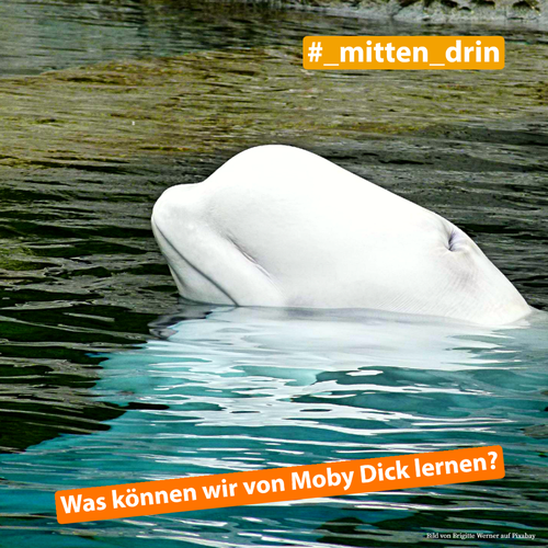 Titelbild zum News-Artikel: #_mitten_drin - Mai 2022