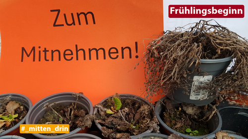 Titelbild zum News-Artikel: #_mitten_drin - März 2025