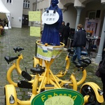 Galleriebild