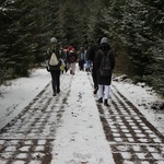 Galleriebild
