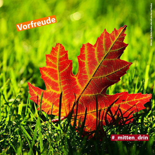 Titelbild zum News-Artikel: #_mitten_drin - September 2022