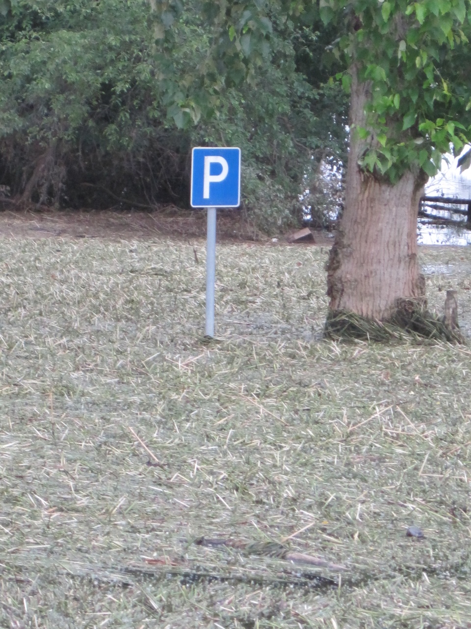 Galleriebild