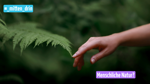in Blatt und eine menschliche Hand berühren sich