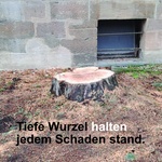 Galleriebild