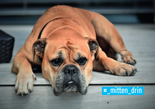 Titelbild zum News-Artikel: #_mitten_drin - Januar 2023 