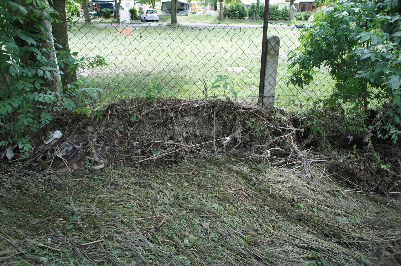 Galleriebild