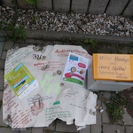 Galleriebild