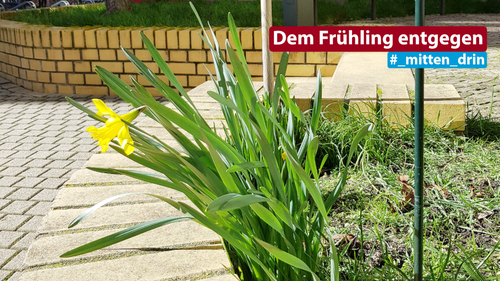 Titelbild zum News-Artikel: Ostern entgegen