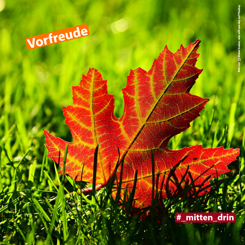 Titelbild zum News-Artikel: #_mitten_drin - September 2022