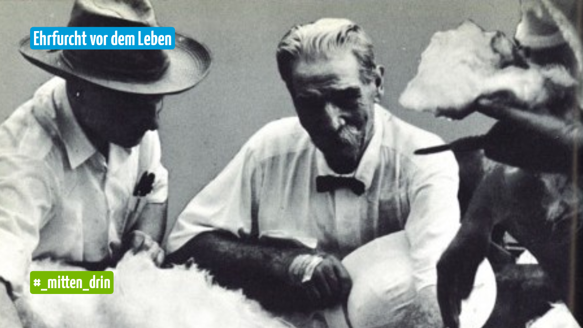 Auf dem Bild ist ein Mann mit buschigem Schnauzer und Grauen zurück gegelten Haaren zu sehen. Er hat einen Hut unter dem Arm. Neben ihm ist ein Mann mit Brille und einem Hut auf den Kopf.