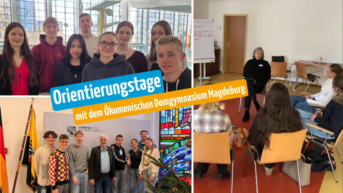 Bildcollage aus 3 Bildern. Jedes Bild zeigt verschiedene Kleingruppen, die am Projekt teilnehmen.